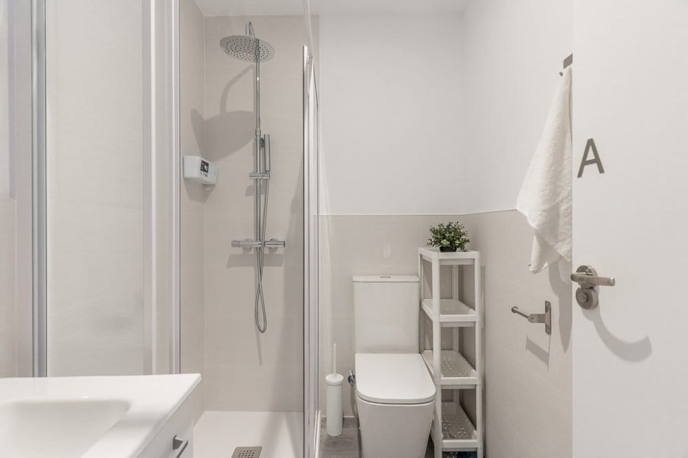 Bright and spacious flat in Preciados