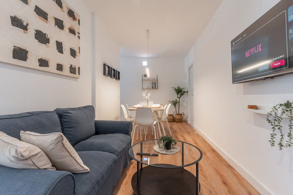 Cozy flat in La latina neighbourhood