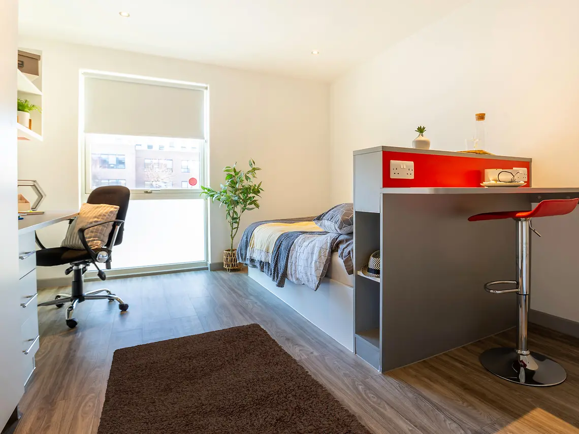 Deluxe Plus Studio Unit 5