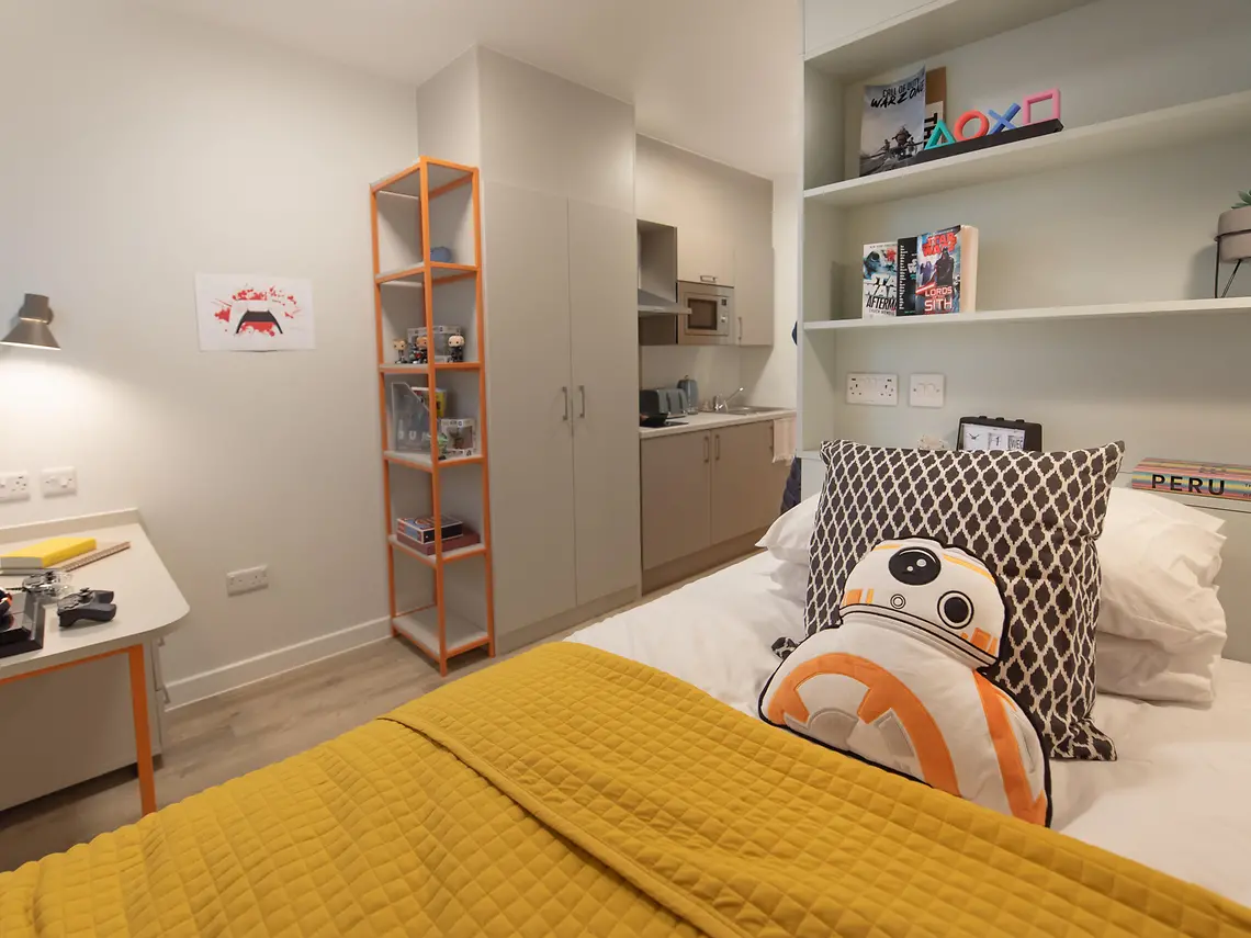 Skyline Cluster Studio Plus Unit 5